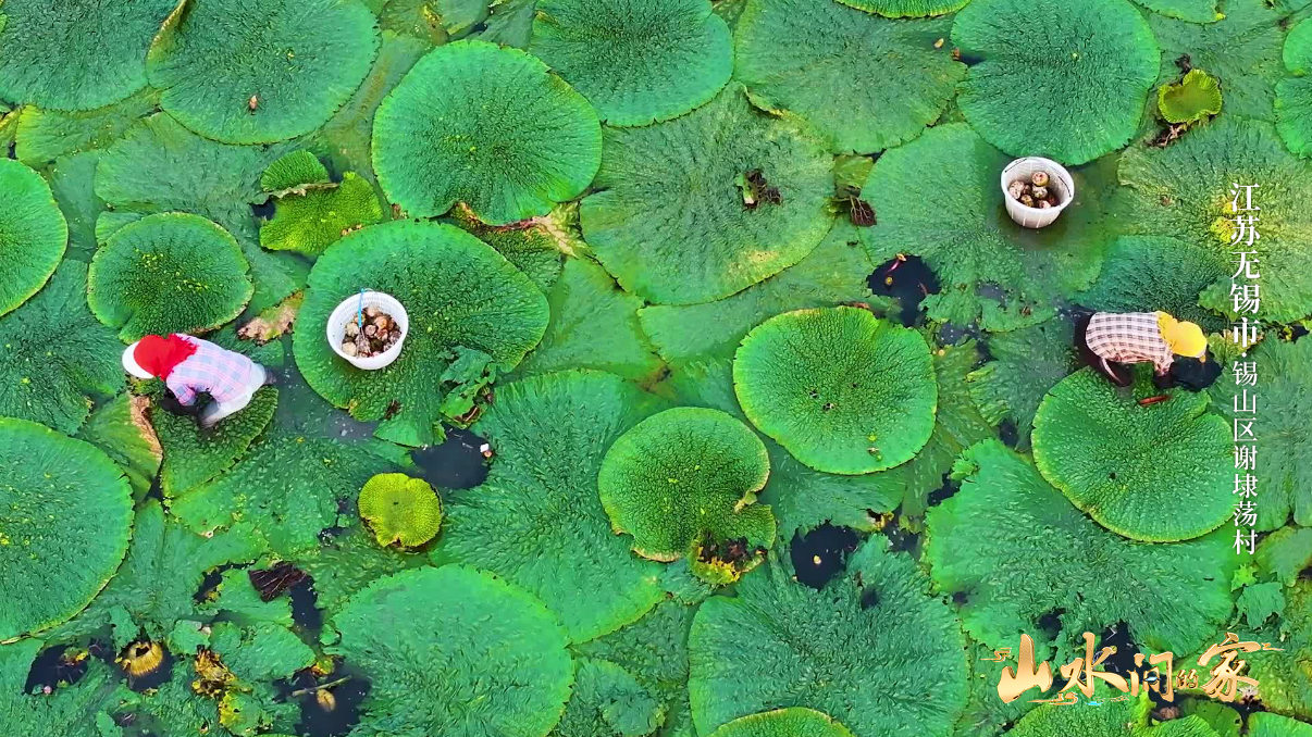 中国电视-《山水间的家》新一季：展现乡村美学新样态