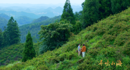 中国电视-《寻味山海》：让地理科学成为寻味故事的“骨骼”
