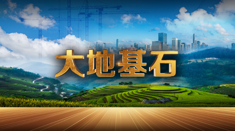 中国电视--《大地基石》