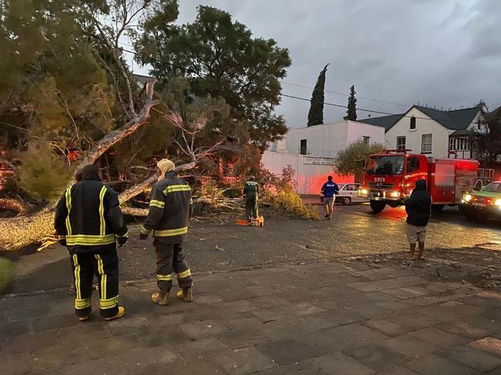 Graaff-Reinet plunged into darkness on Thursday night after powerlines were downed by falling trees due to strong winds.