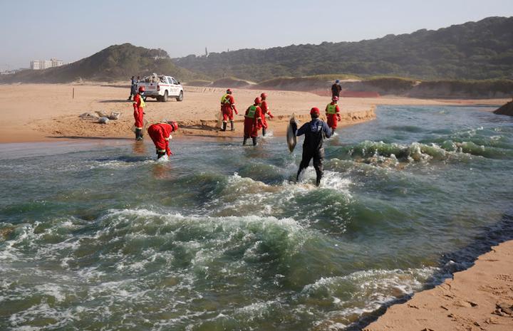 Durban chemical company torched in unrest faces criminal probe after toxic  spill