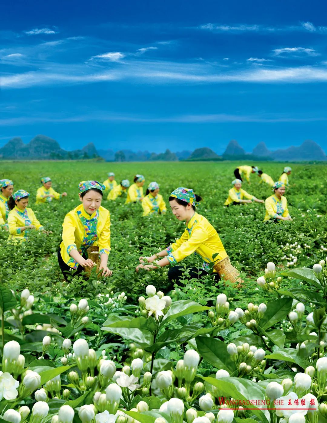 微信图片_20210714105533.jpg 图片