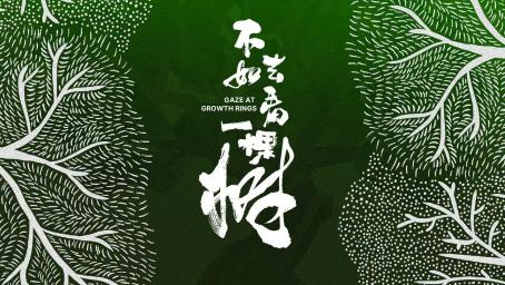 中国电视-《不如去看一棵树》