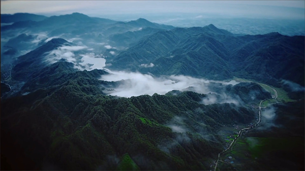 1792691534.jpg 图片.png